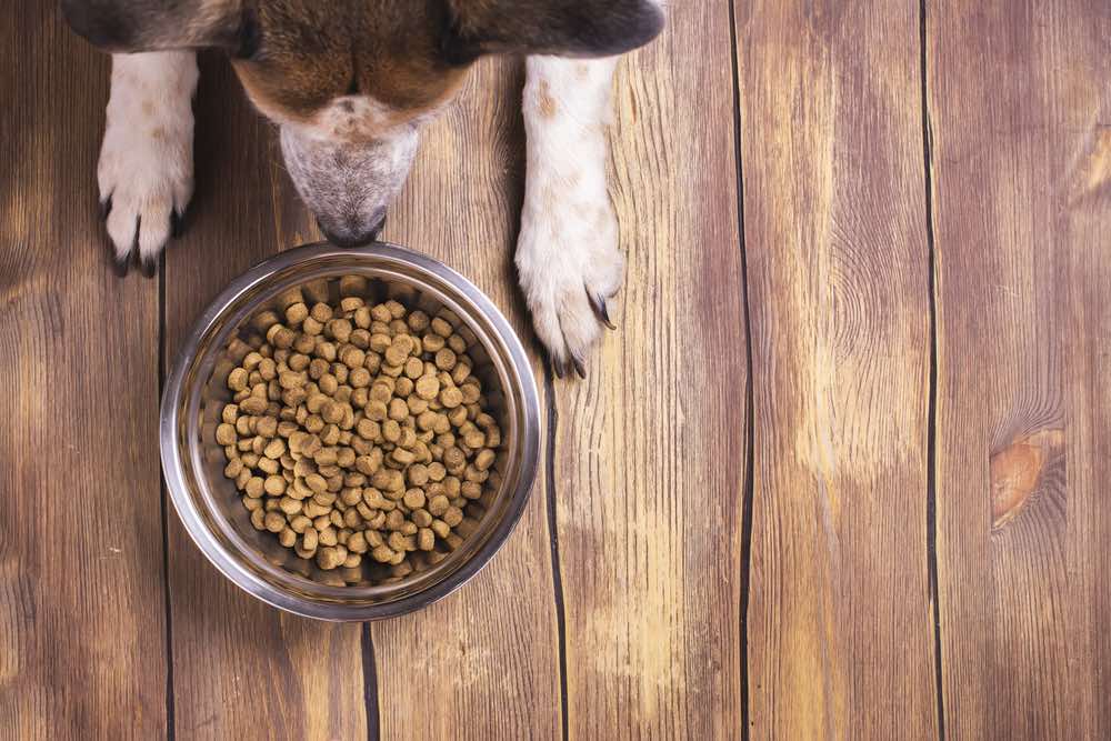 9 Best Venison Dog Foods of 2026 - Reviews & Top Picks