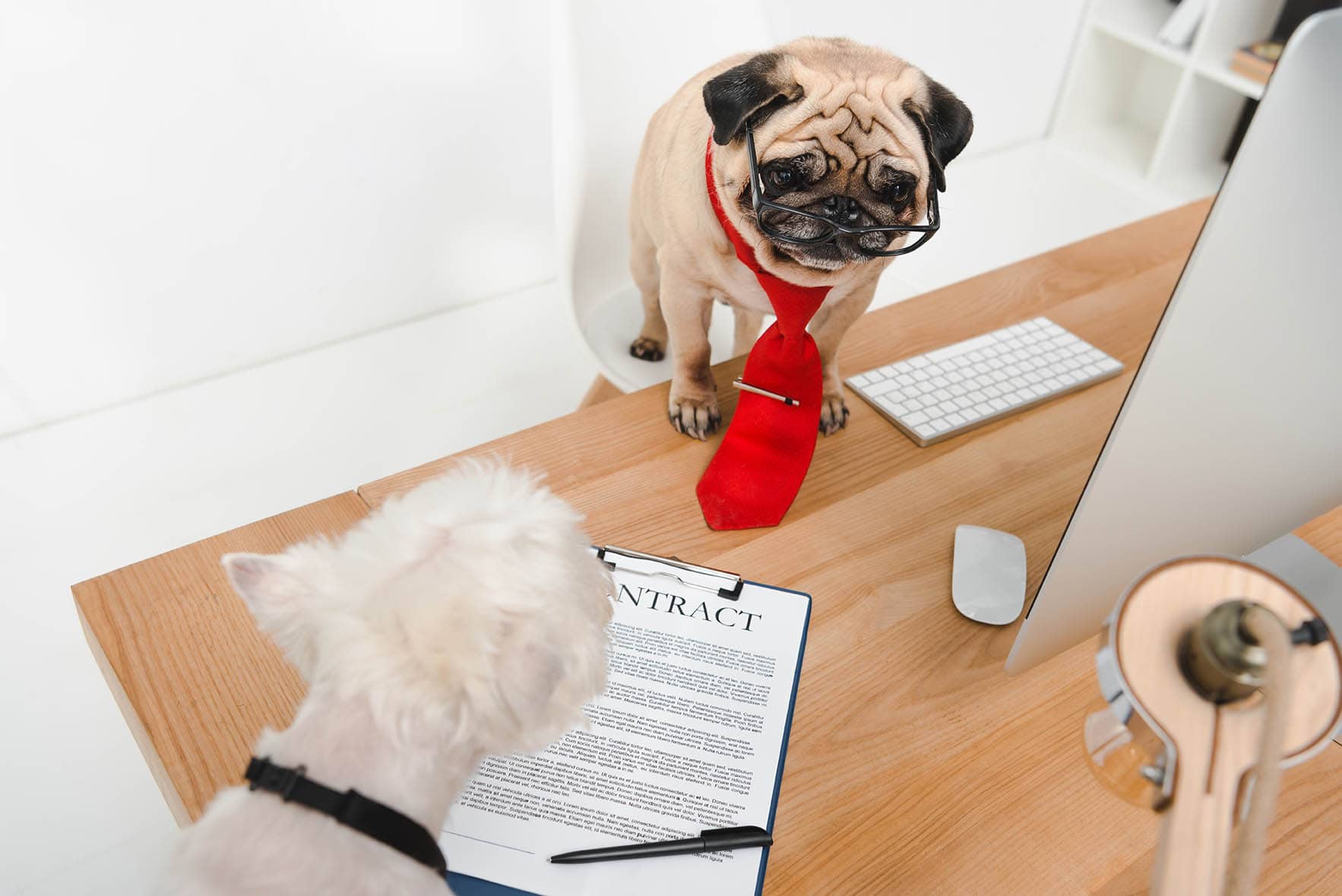 5 Puppy Contract Templates (PDF) in 2026