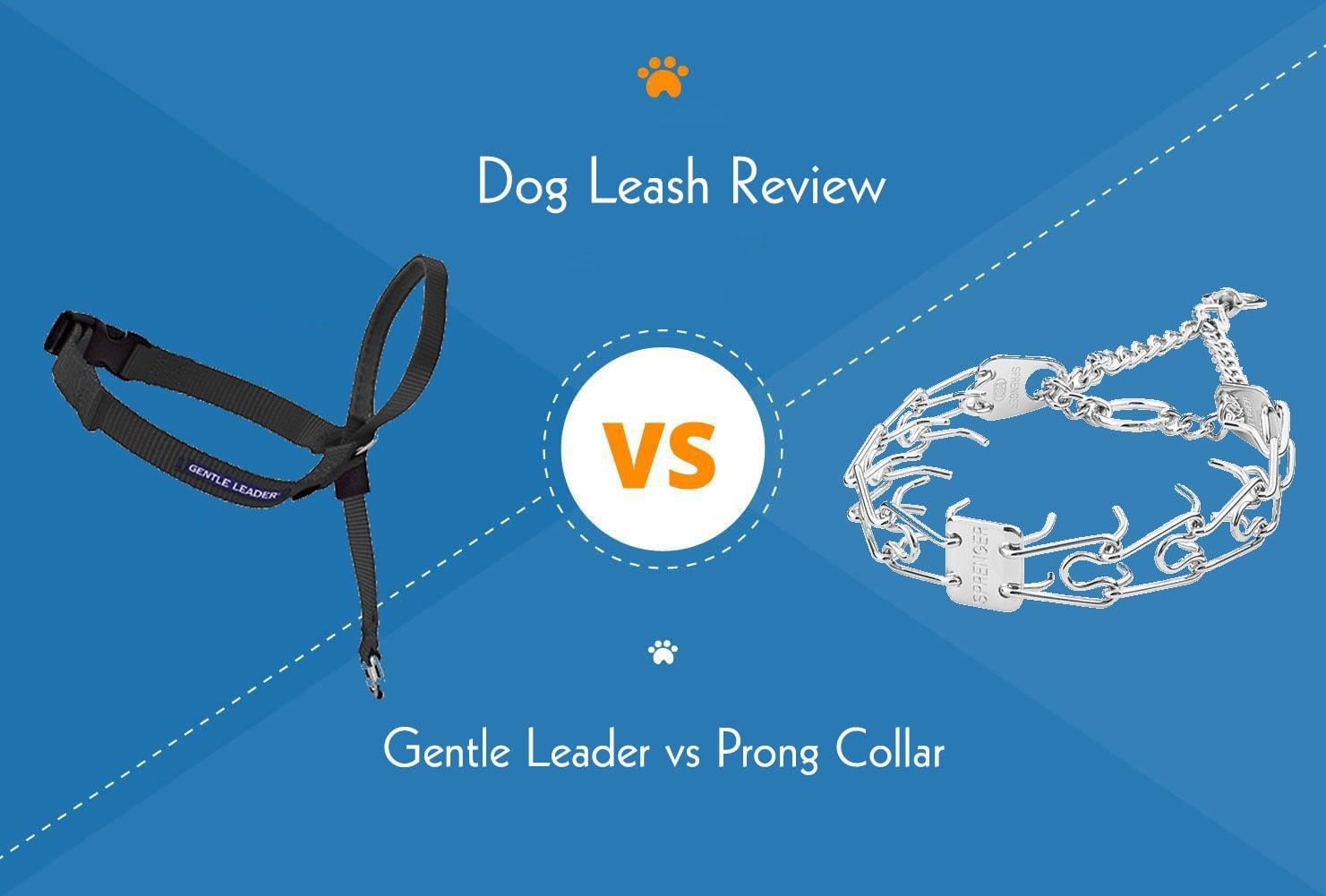 Gentle Leader vs Prong Collar: Which is Best for Your Dog?