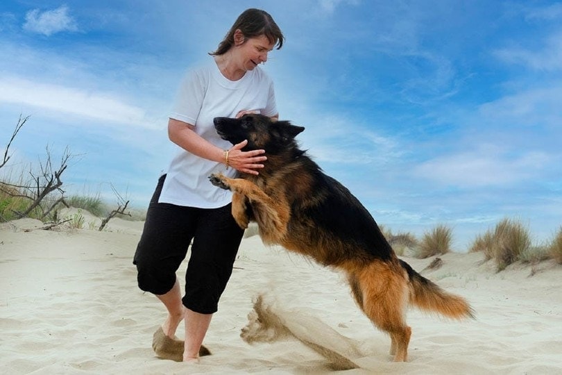How to Train a Dog Not to Jump in 2 Simple Steps