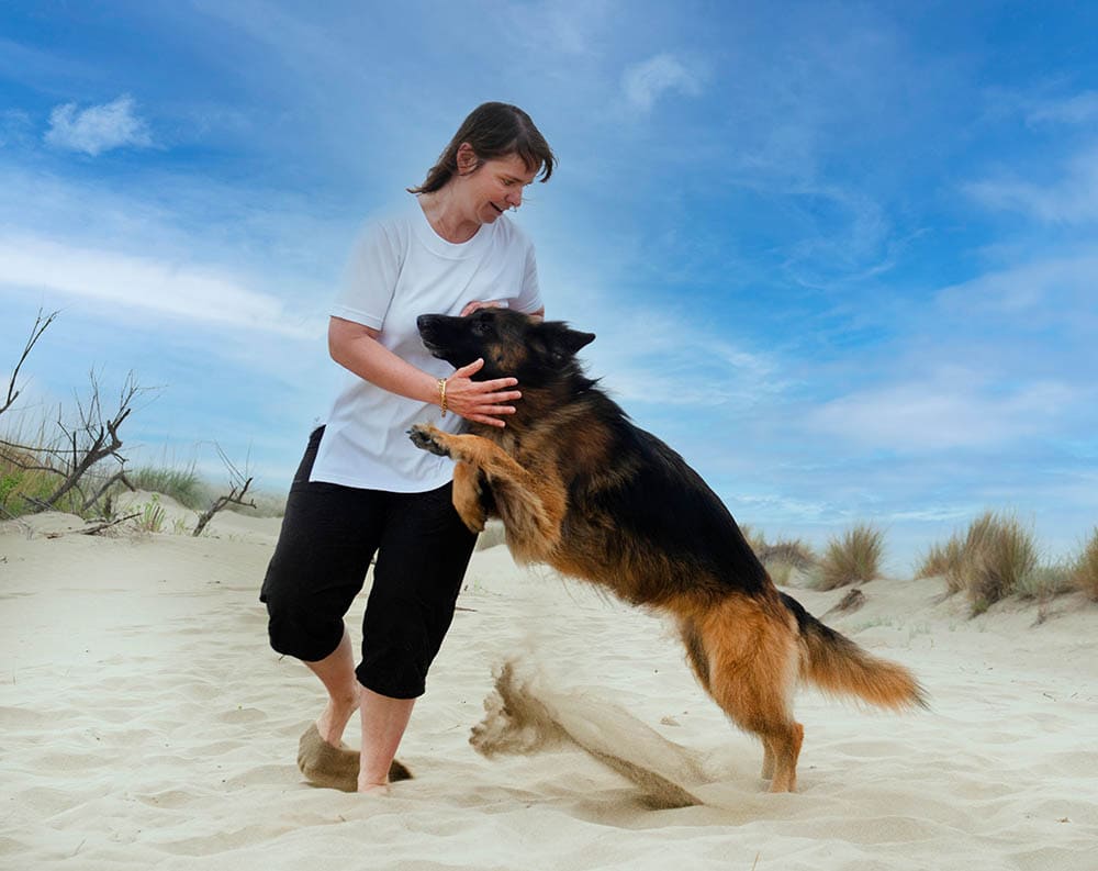 How to Stop Your German Shepherd from Jumping: 3 Expert Tips