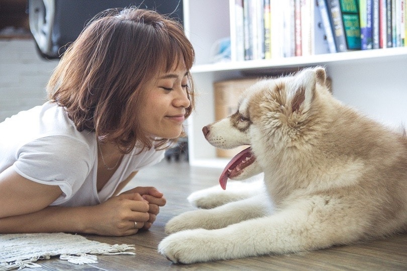 9 Gift Ideas Your Favorite Dog Sitter Will Love