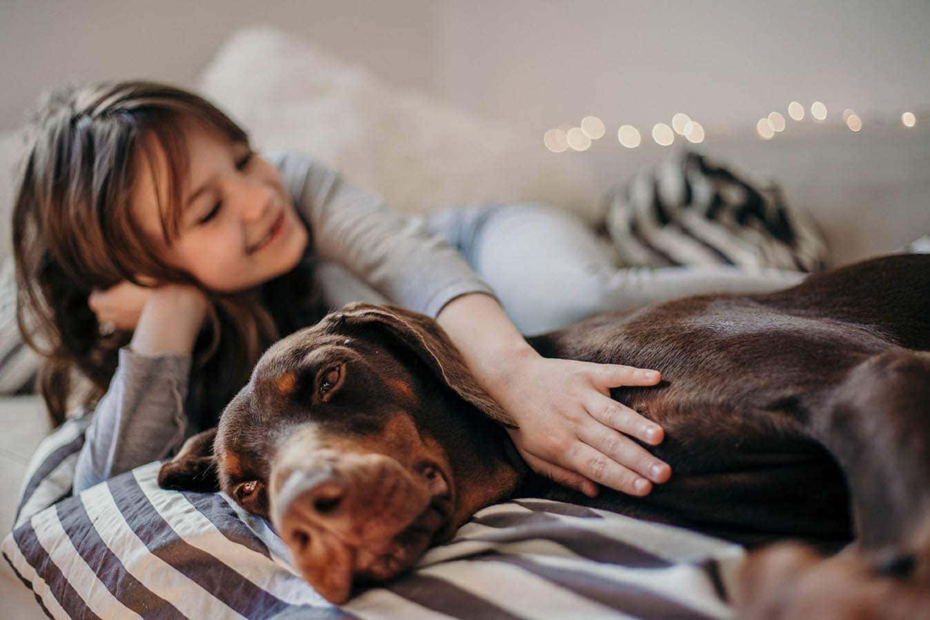 Are Dobermans Good Family Dogs? The Surprising Answer