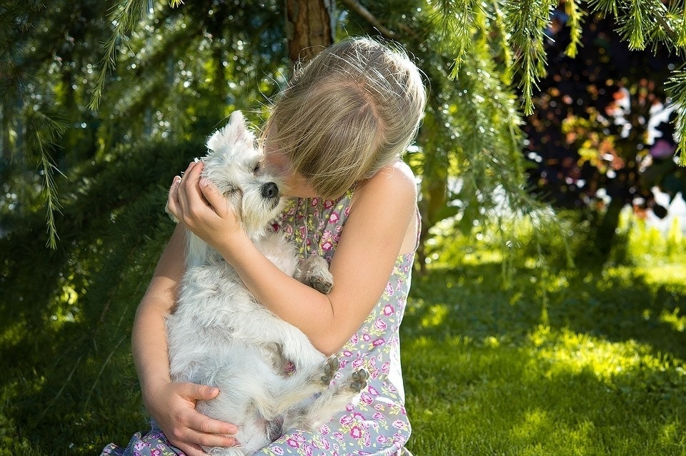 11 Best Gifts for Dog Lovers – 2026 Reviews & Top Picks