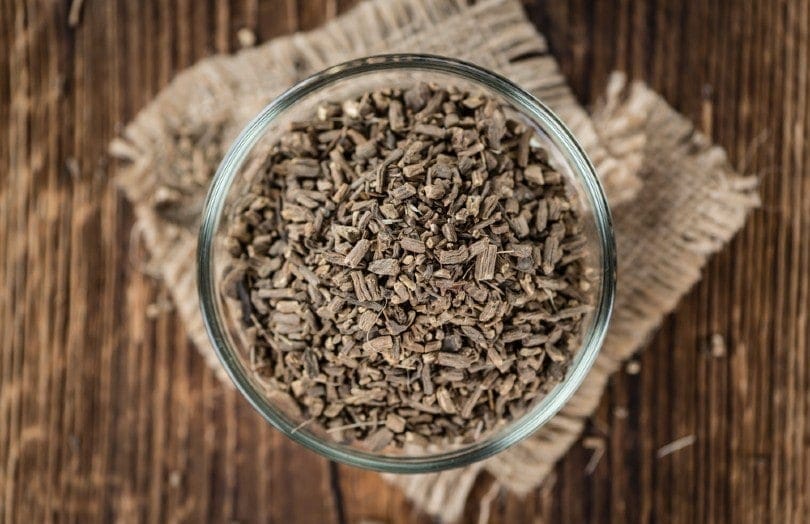 Valerian Root for Dogs: Vet Reviewed Dosage, Effectiveness & Uses