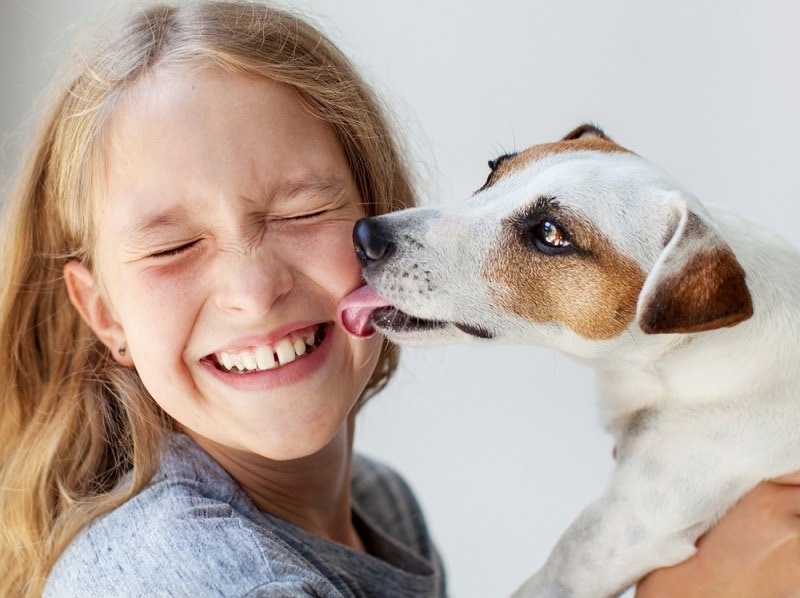 Why Does My Dog Lick Me? 10 Vet-Verified Reasons for This Behavior & Tips