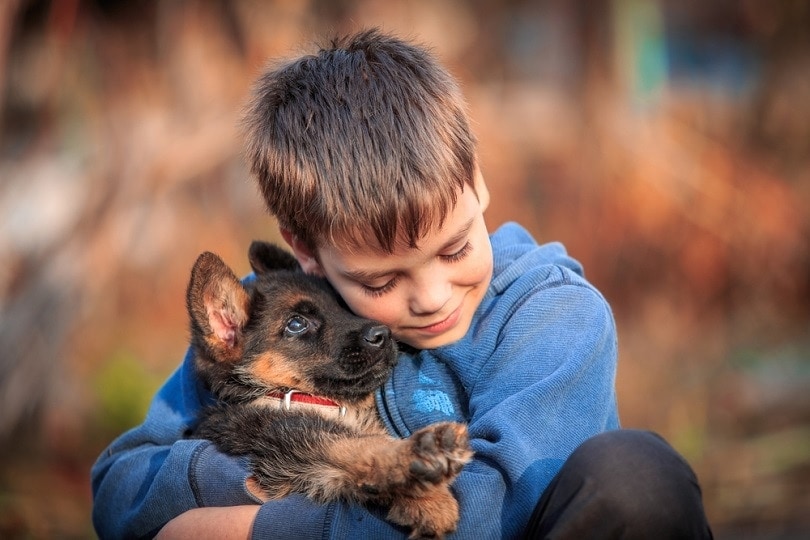 Are German Shepherds Good With Kids? 3 Factors to Consider