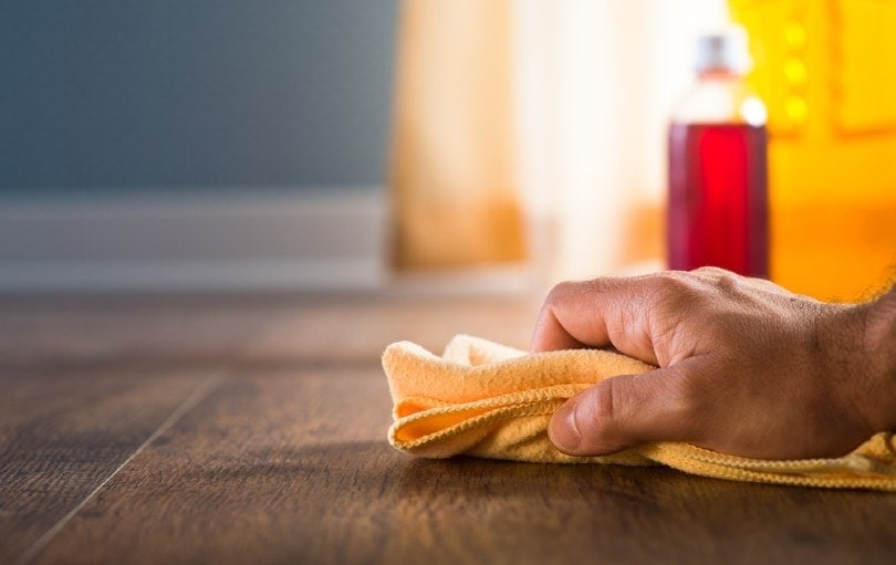 How to Remove Dog Poop Smell & Stains From Hardwood Floors: 4 Methods