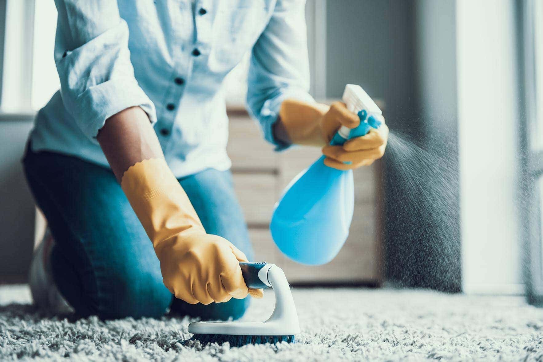 How to Clean Dog Vomit From a Carpet: Quick & Easy Steps