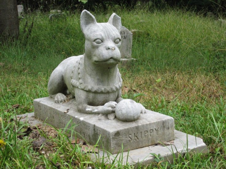 15 Best Dog-Loss Sympathy Gift Ideas