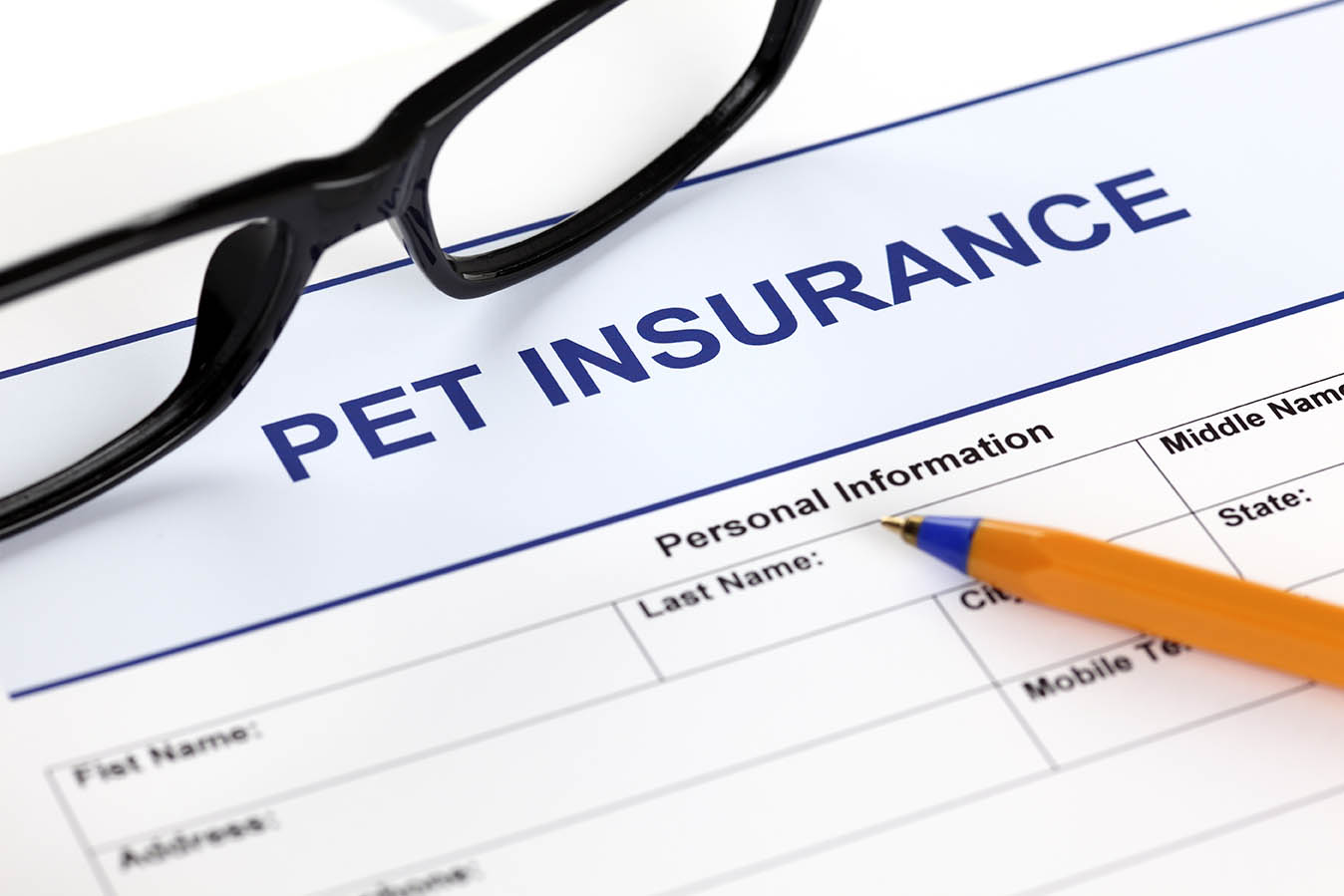 What Is Pet Insurance, How Does It Work & What Does It Cover? Facts, Types & FAQ
