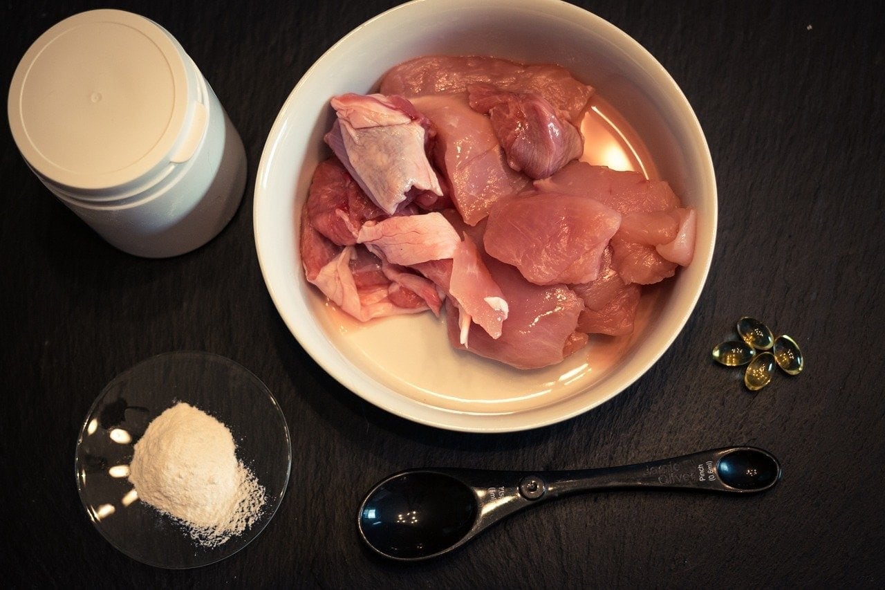 Pros & Cons of Raw Dog Food (2026 Vet-Reviewed Guide With Facts)