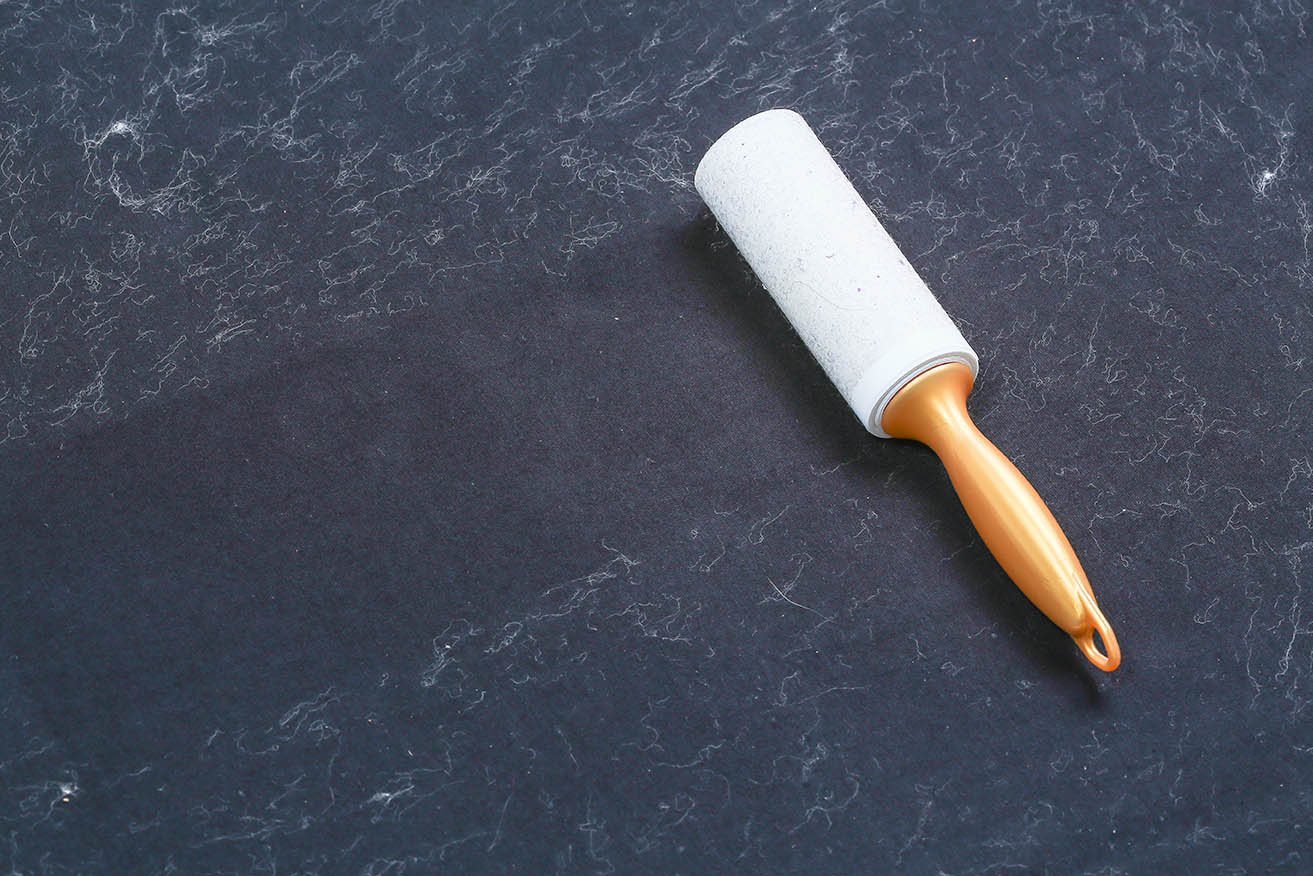 10 Best Lint Rollers for Dog Hair 2026 - Reviews & Top Picks