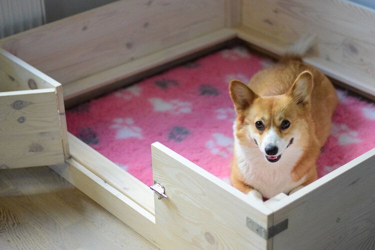 4 DIY Whelping Boxes You Can Build Today (With Pictures)