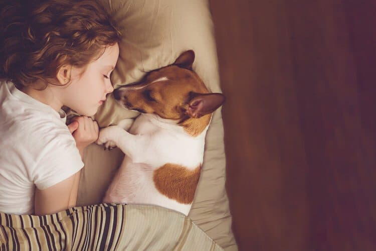 11 Small Dogs That Are Good With Children: Info, Pictures & Breed Traits