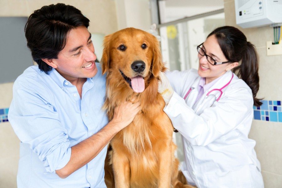 24 Exciting Jobs & Career Paths for Dog Lovers (2026 Guide)