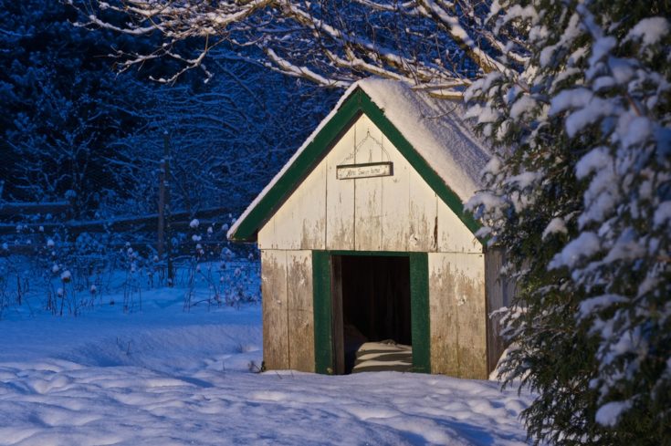 9 DIY Slanted-Roof Dog House Plans You Can Build Today (With Pictures)