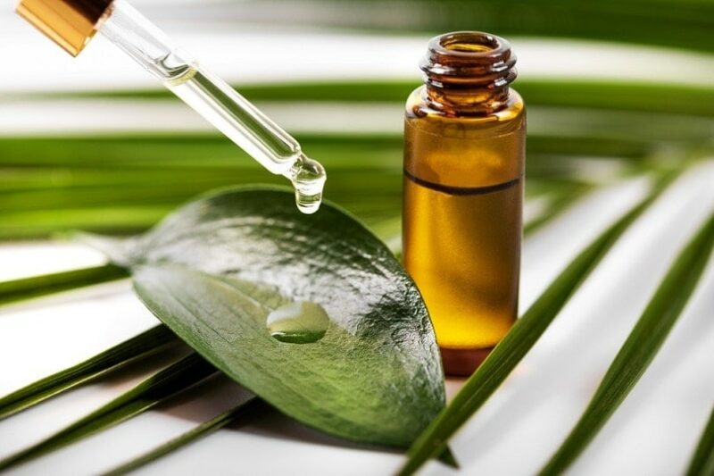 Is Tea Tree Oil Safe for Dogs? Vet-Reviewed Cautions & Safety Guide