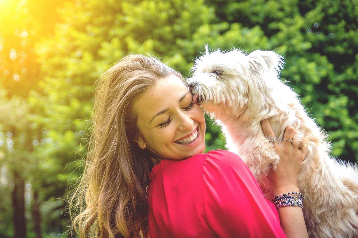 Why Does My Dog Lick My Face? 3 Reasons & What to Do