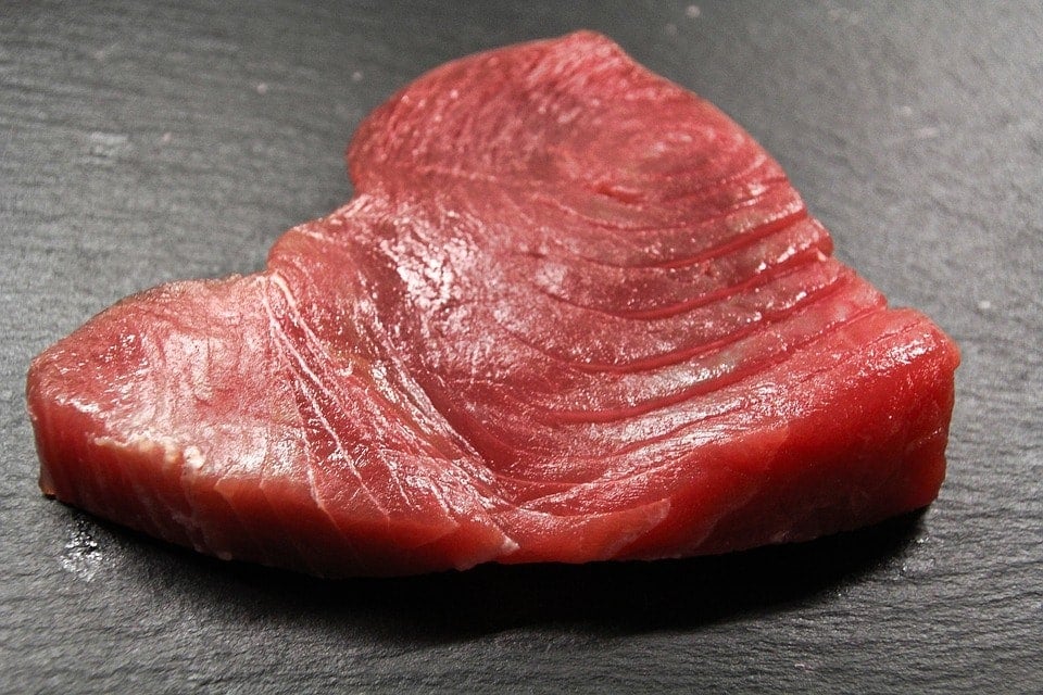 Can Dogs with Pancreatitis Eat Tuna? Is it Safe? (Vet Answer)