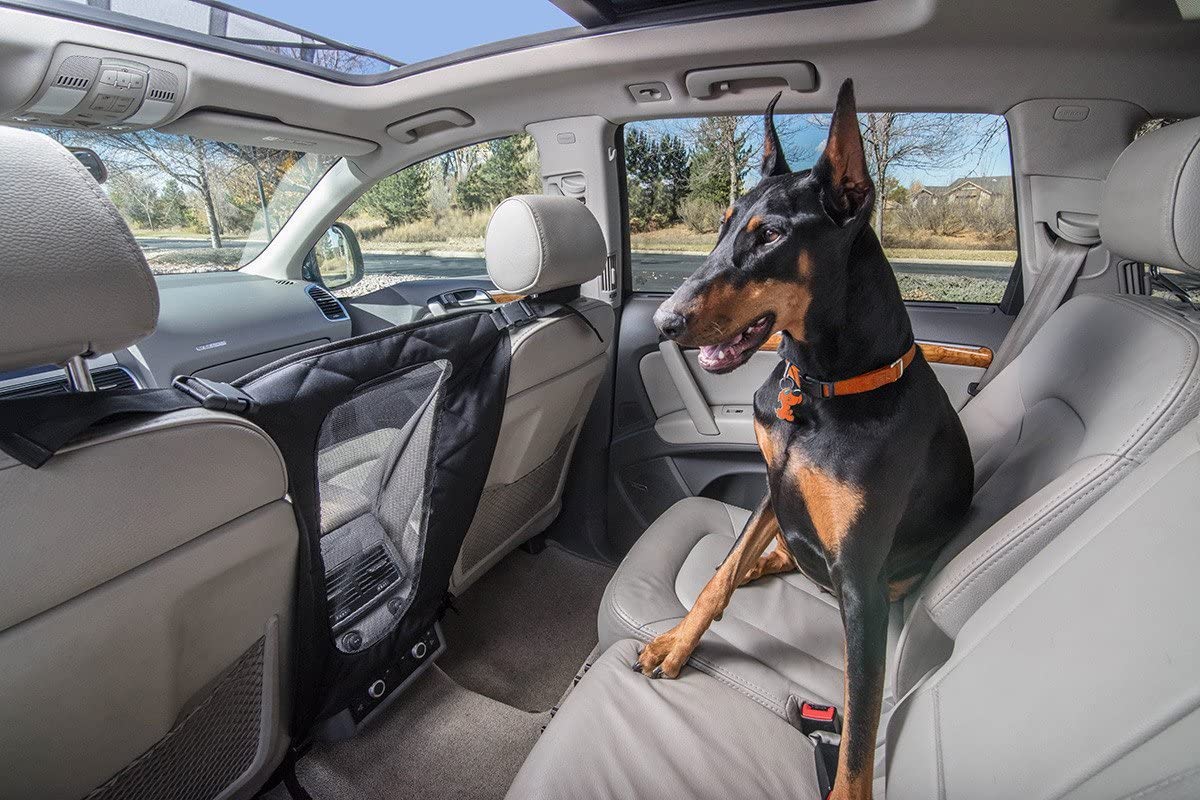 10 Best Dog Car Barriers in 2026 - Reviews & Top Picks