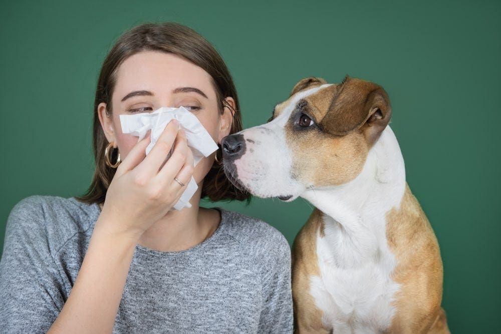 Can You Build Up an Immunity to Dog Allergies? Vet-Approved Facts