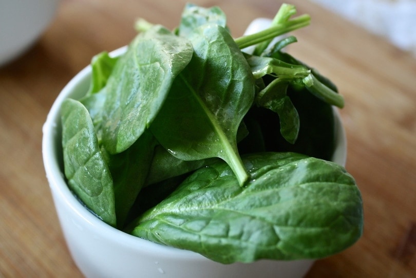 9 Foods High In Magnesium For Dogs: Vet Reviewed Benefits Explained