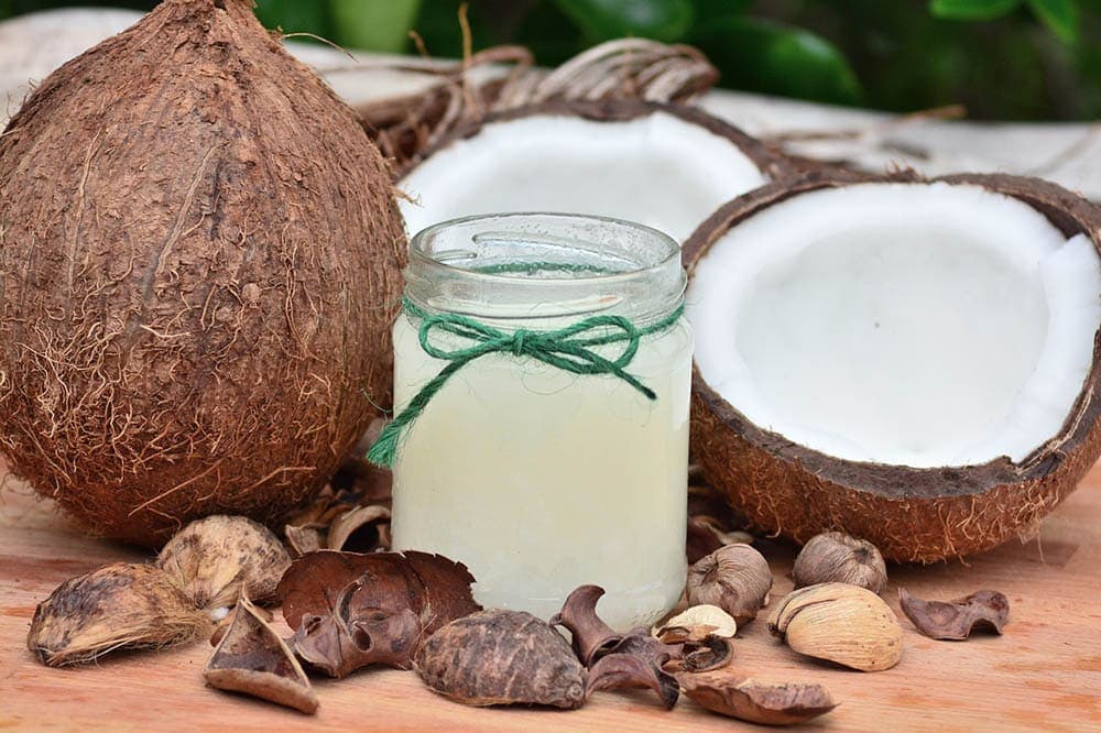Can I Put Coconut Oil in Dog Food? Vet-Reviewed Benefits & Precautions
