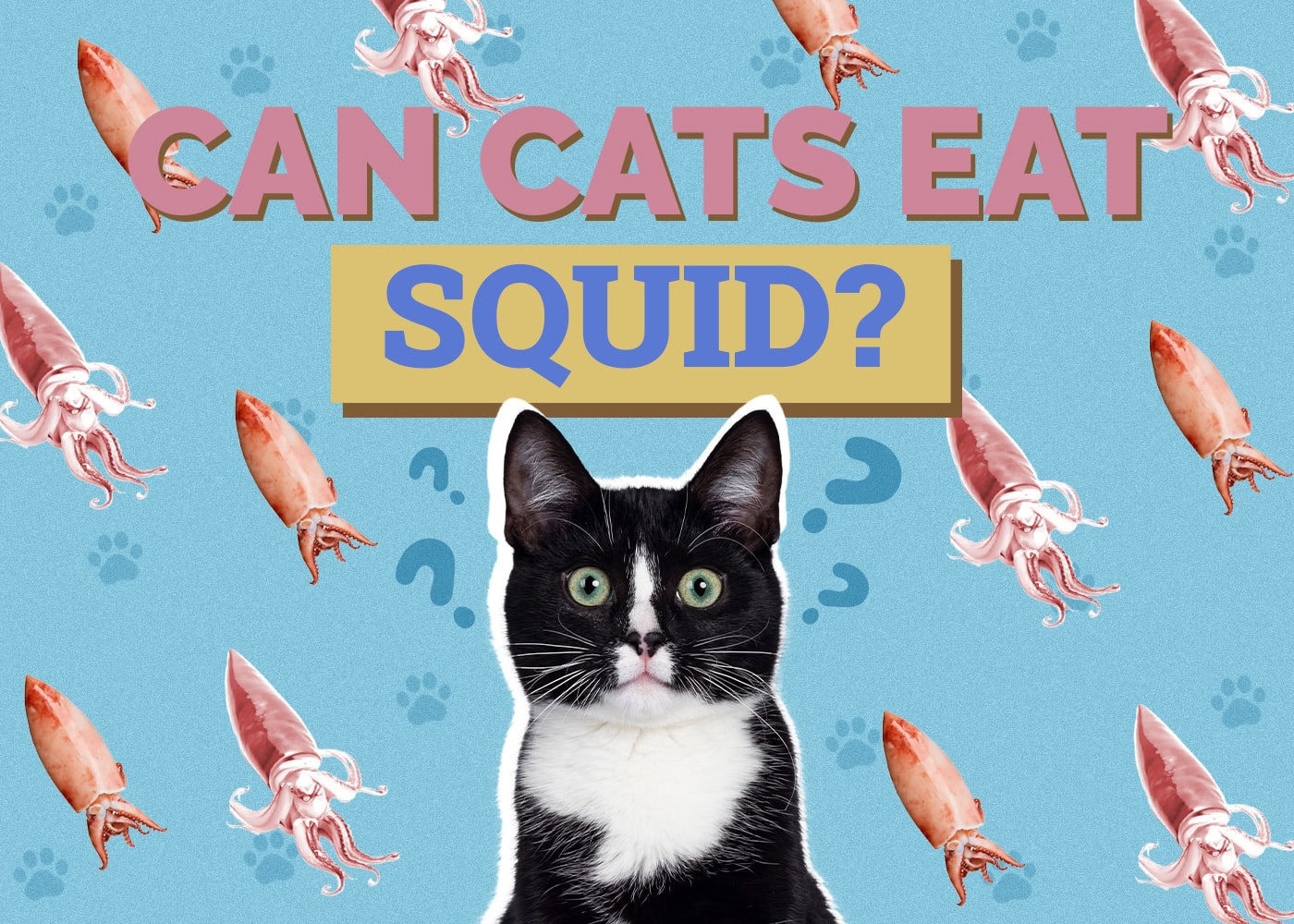 Can Cats Eat Raw or Cooked Squid? Tips & Potential Risks