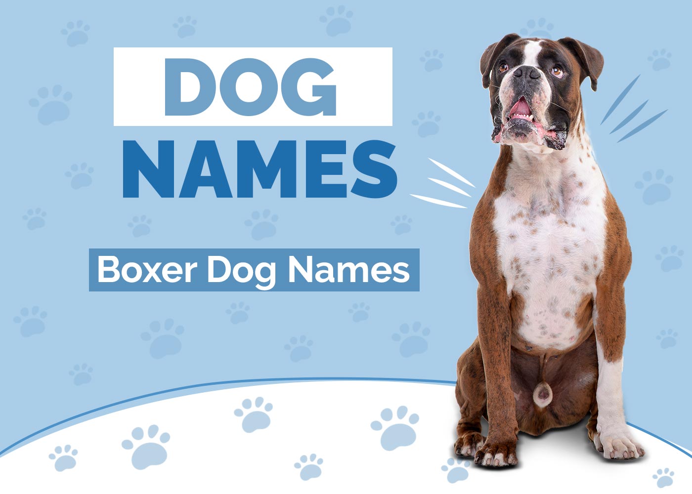 100+ Boxer Dog Names: Ideas for Fearless & Smart Dogs