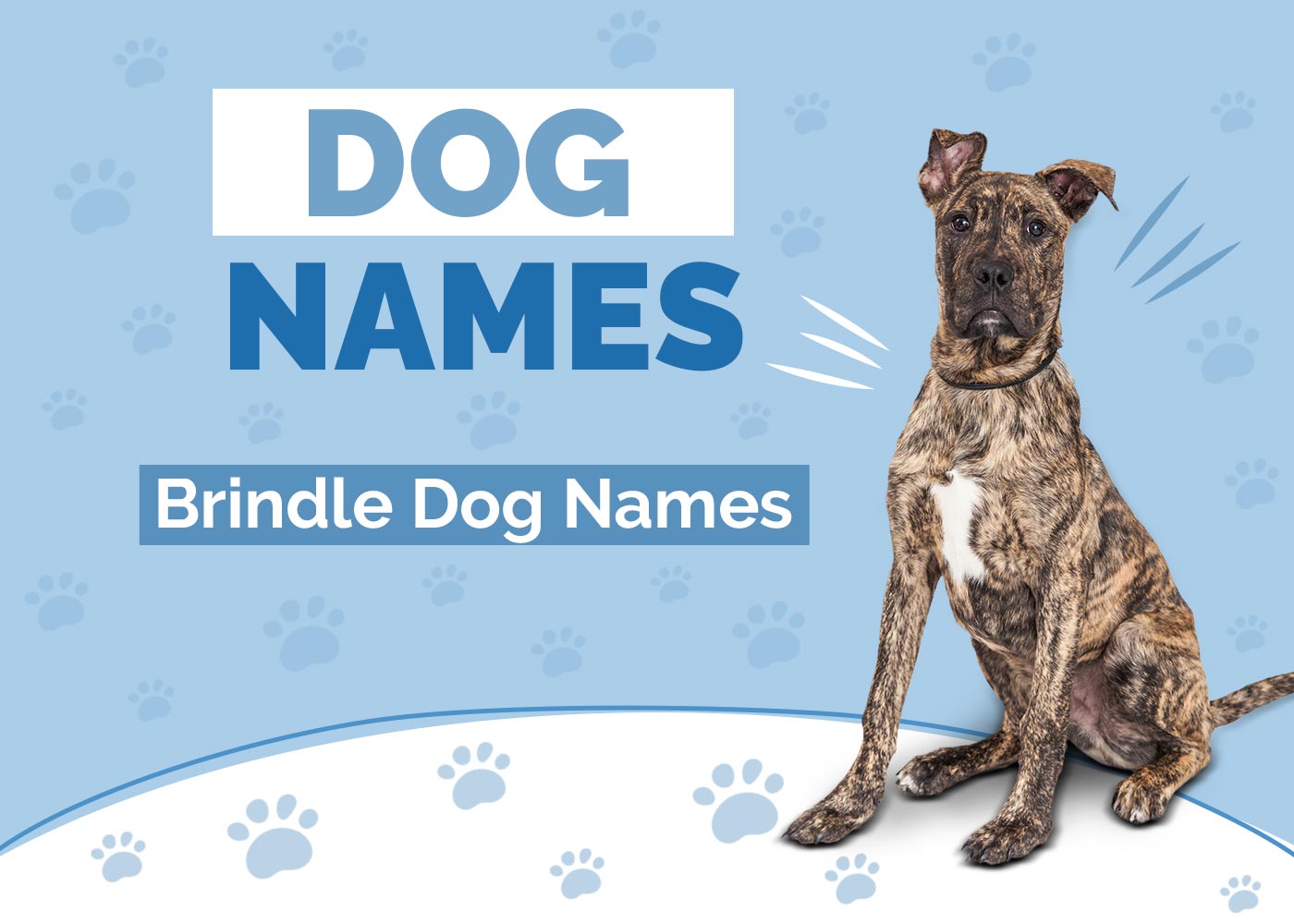 100+ Brindle Dog Names: Ideas for Your Striped & Multi-Tonal Pet