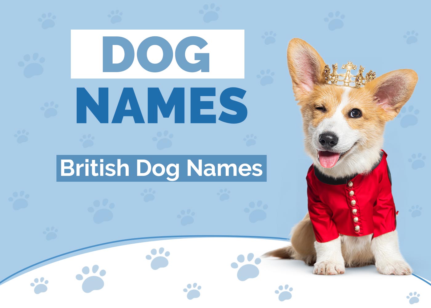 100+ British Dog Names: Ideas for Regal & Charming Dogs