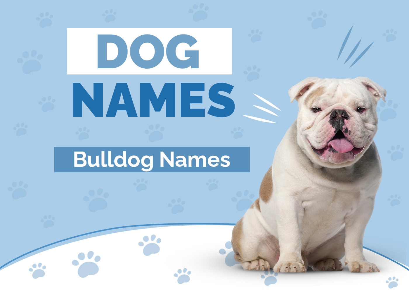 100+ Bulldog Names: Ideas for Brawny & Mellow Dogs