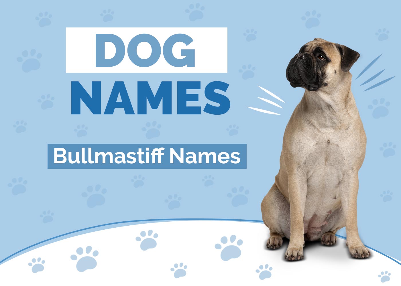 100+ Bullmastiff Names: Ideas for Massive & Gentle Dogs
