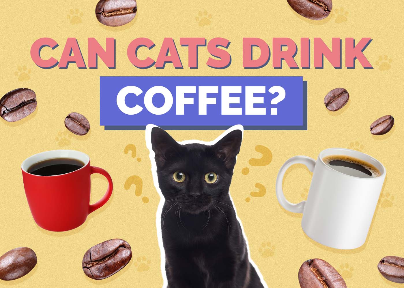 Can Cats Drink Coffee? Vet-Reviewed Healthy Facts