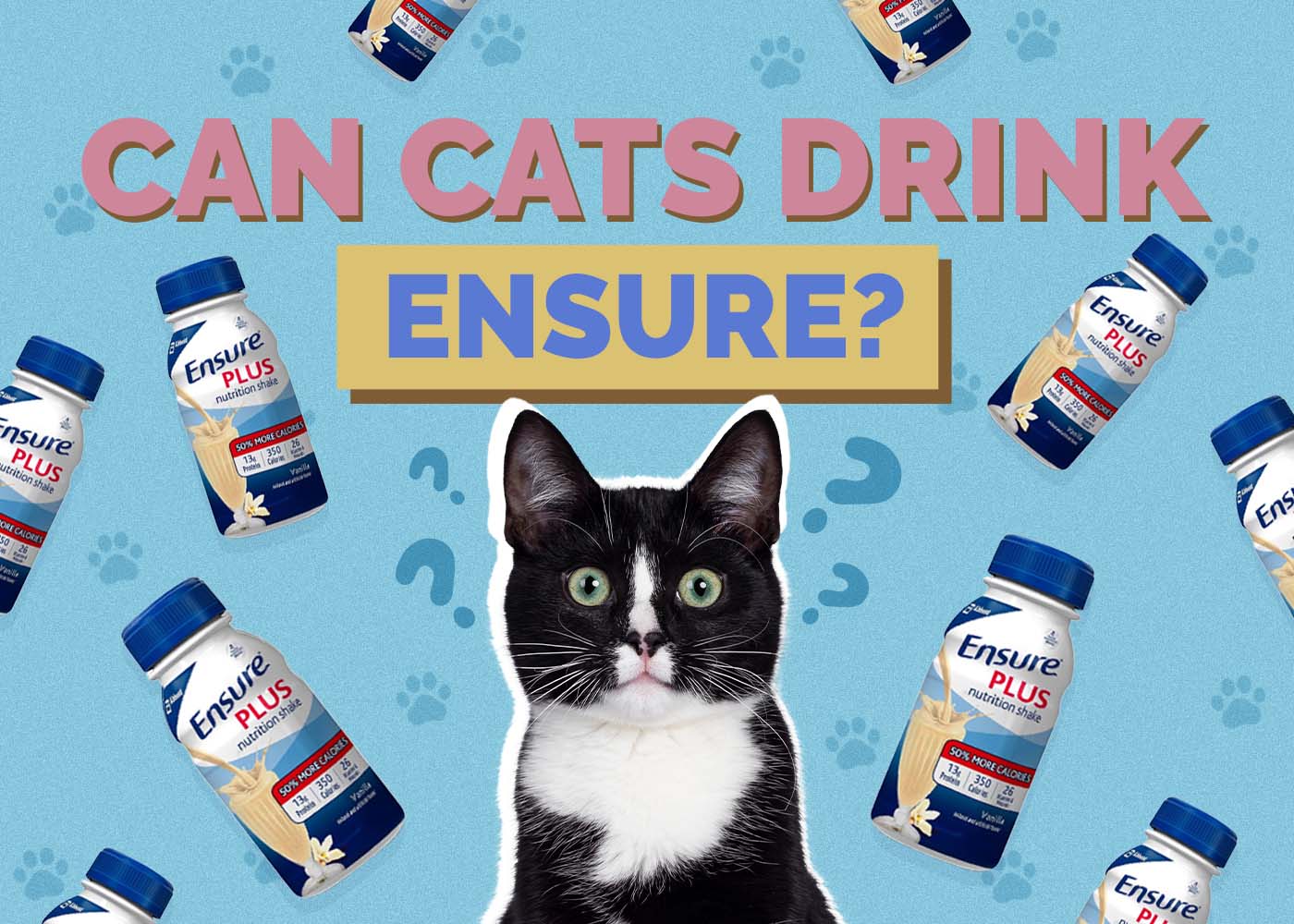 Can Cats Drink Ensure? Vet Reviewed Facts & FAQ