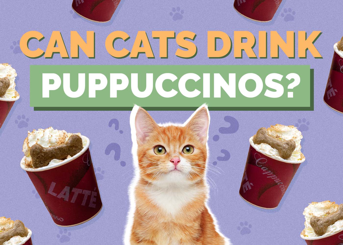 Can Cats Drink Puppuccinos (Pup Cups) From Starbucks? Vet-Approved Tips & Considerations