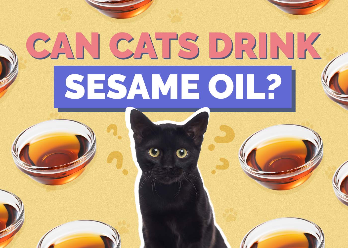 Can Cats Drink Sesame Oil? Vet-Reviewed Nutrition Facts & Potential Risks