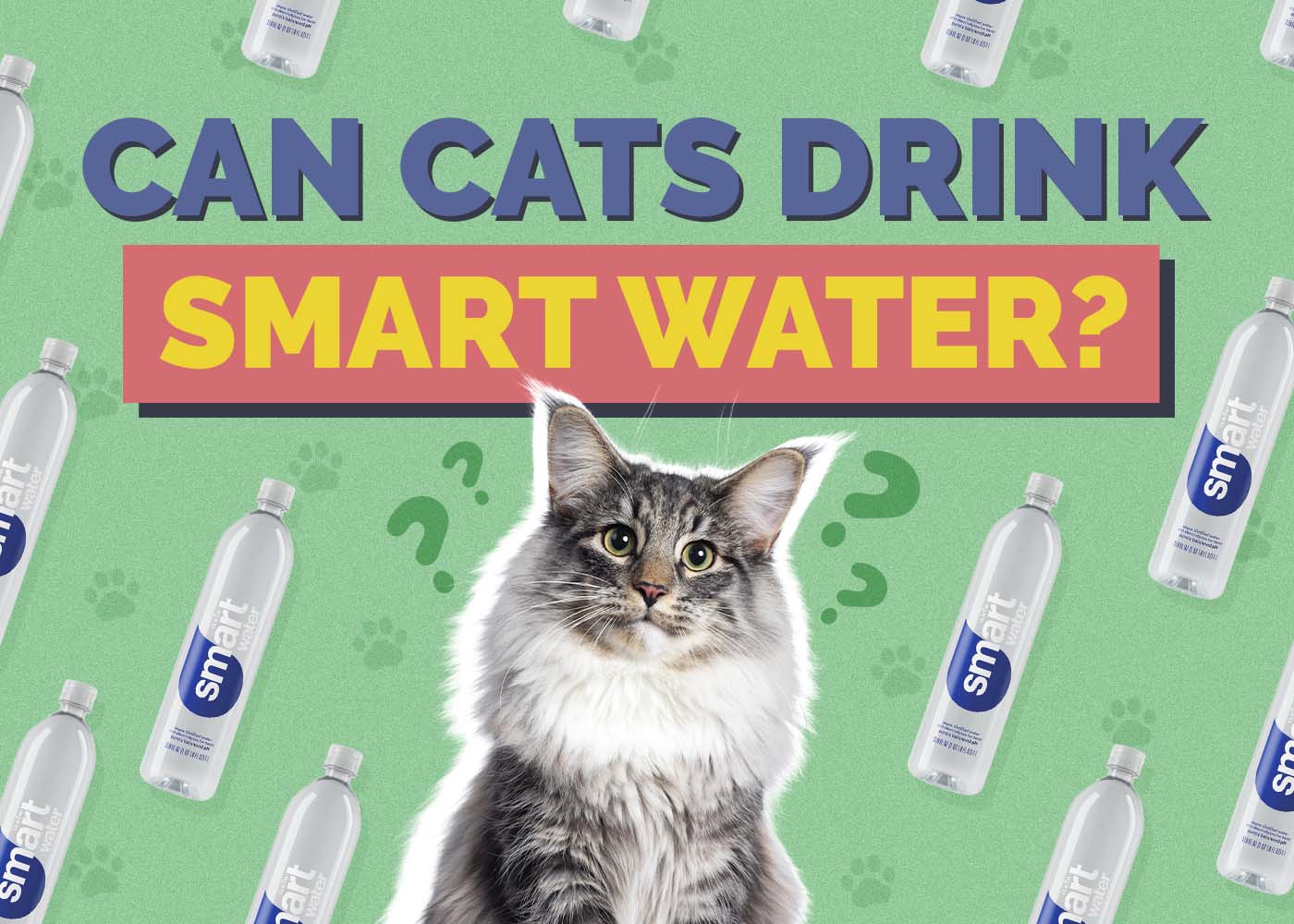 Can Cats Drink Smartwater or Flavored Water? Vet Approved Nutrition Facts & Info
