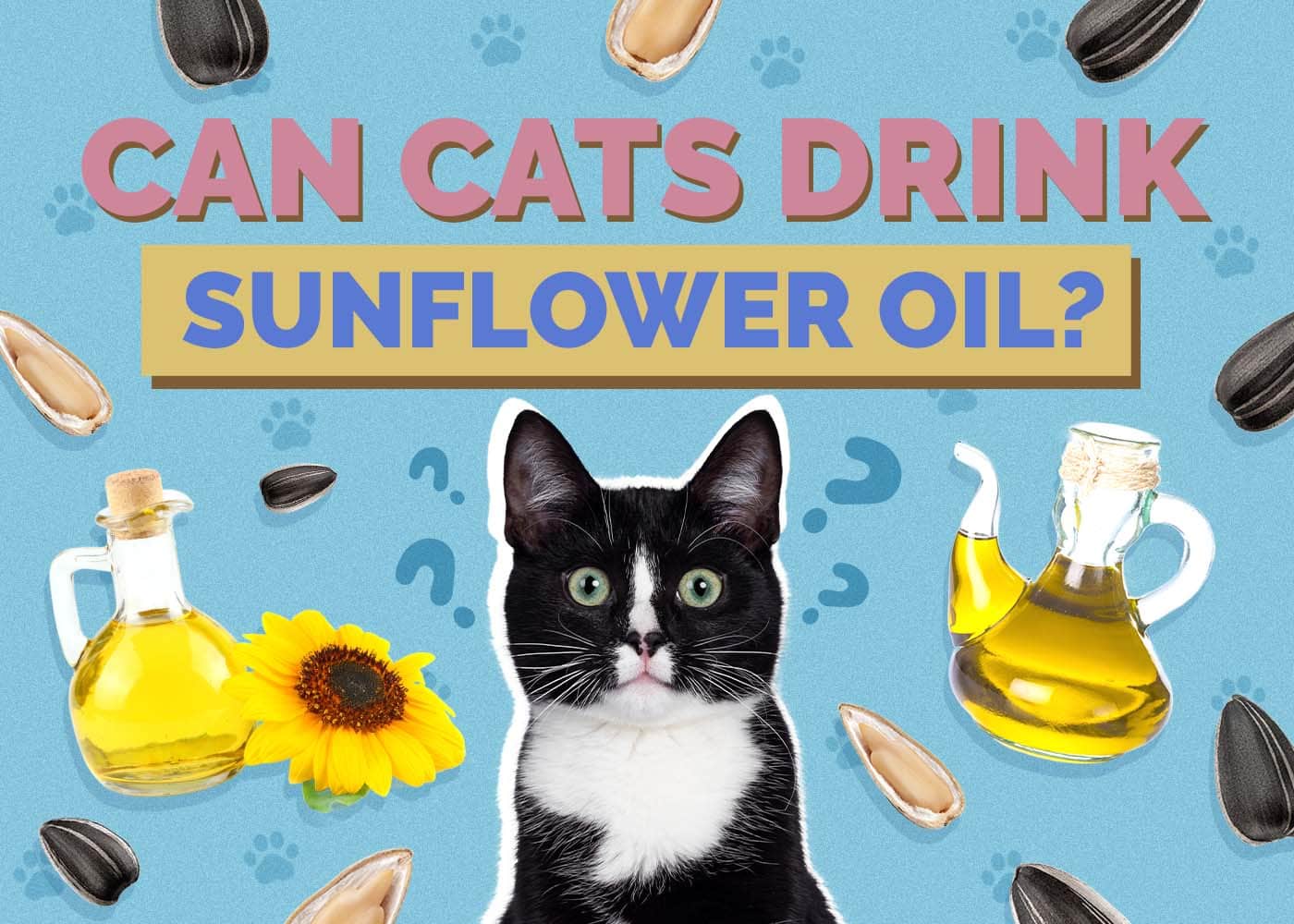 Can Cats Drink Sunflower Oil? Vet-Reviewed Benefits & Potential Dangers