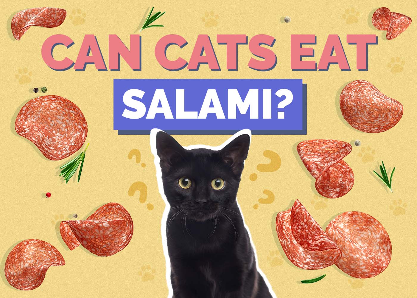 Can Cats Eat Salami? Vet-Reviewed Potential Health Risks