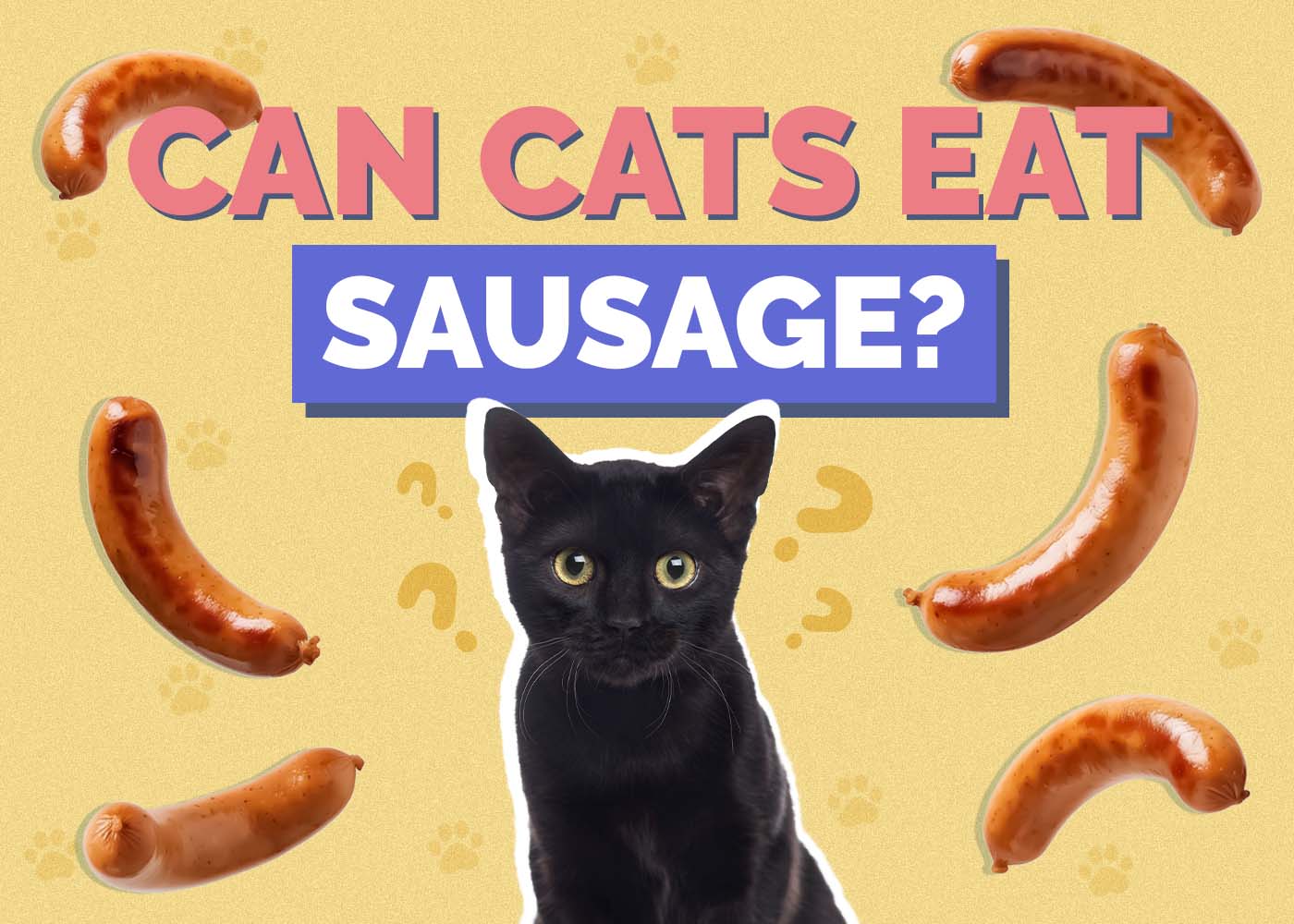 Can Cats Eat Sausage? Vet-Reviewed Potential Benefits & Risks