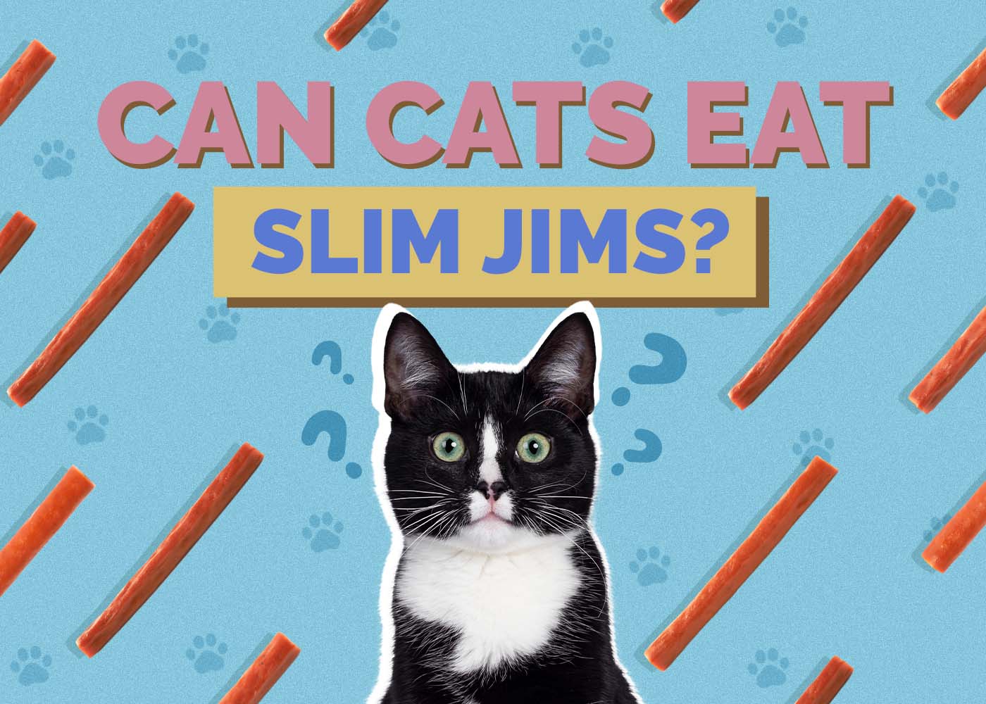 Can Cats Eat Slim Jims? Nutrition Facts & Safety Guide