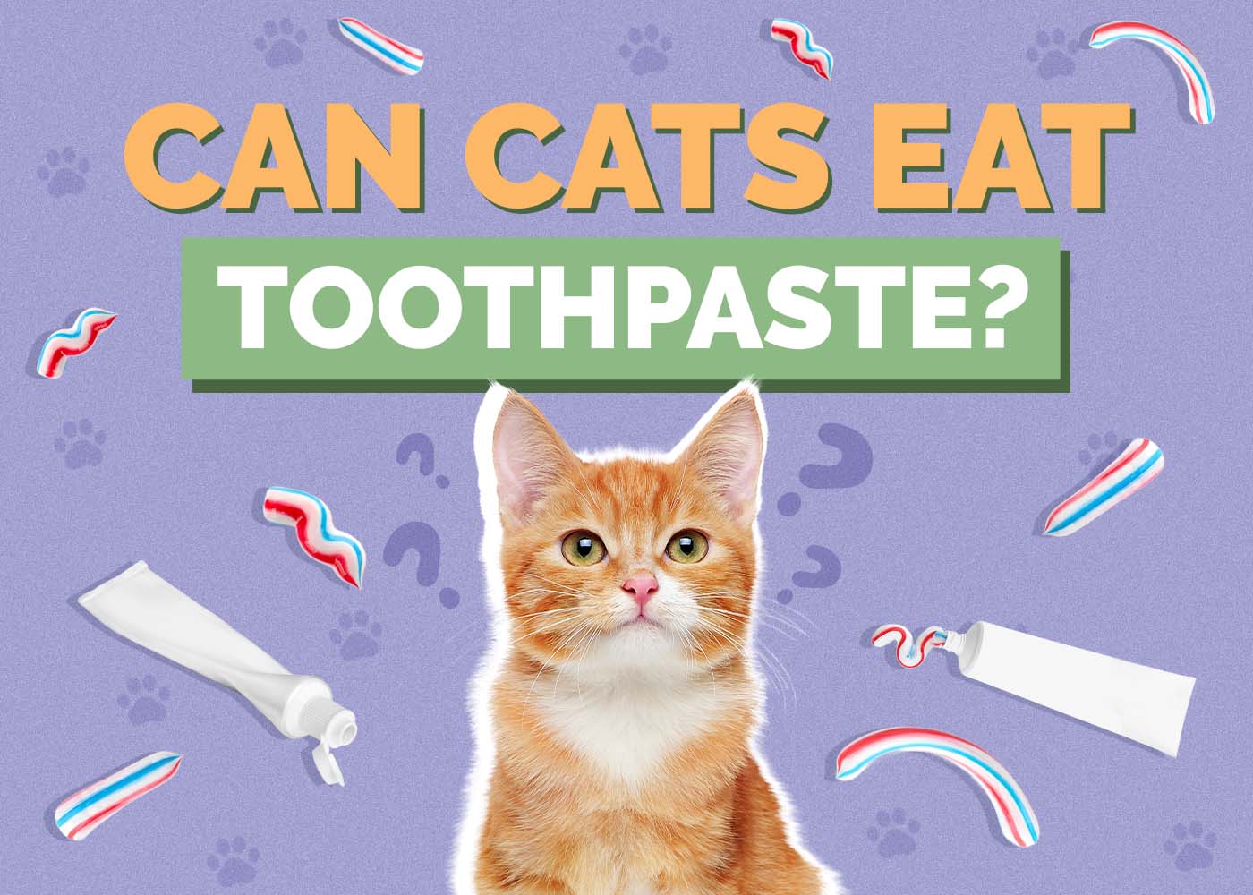 Can Cats Eat Toothpaste? Vet-Approved Risks & Dental Care