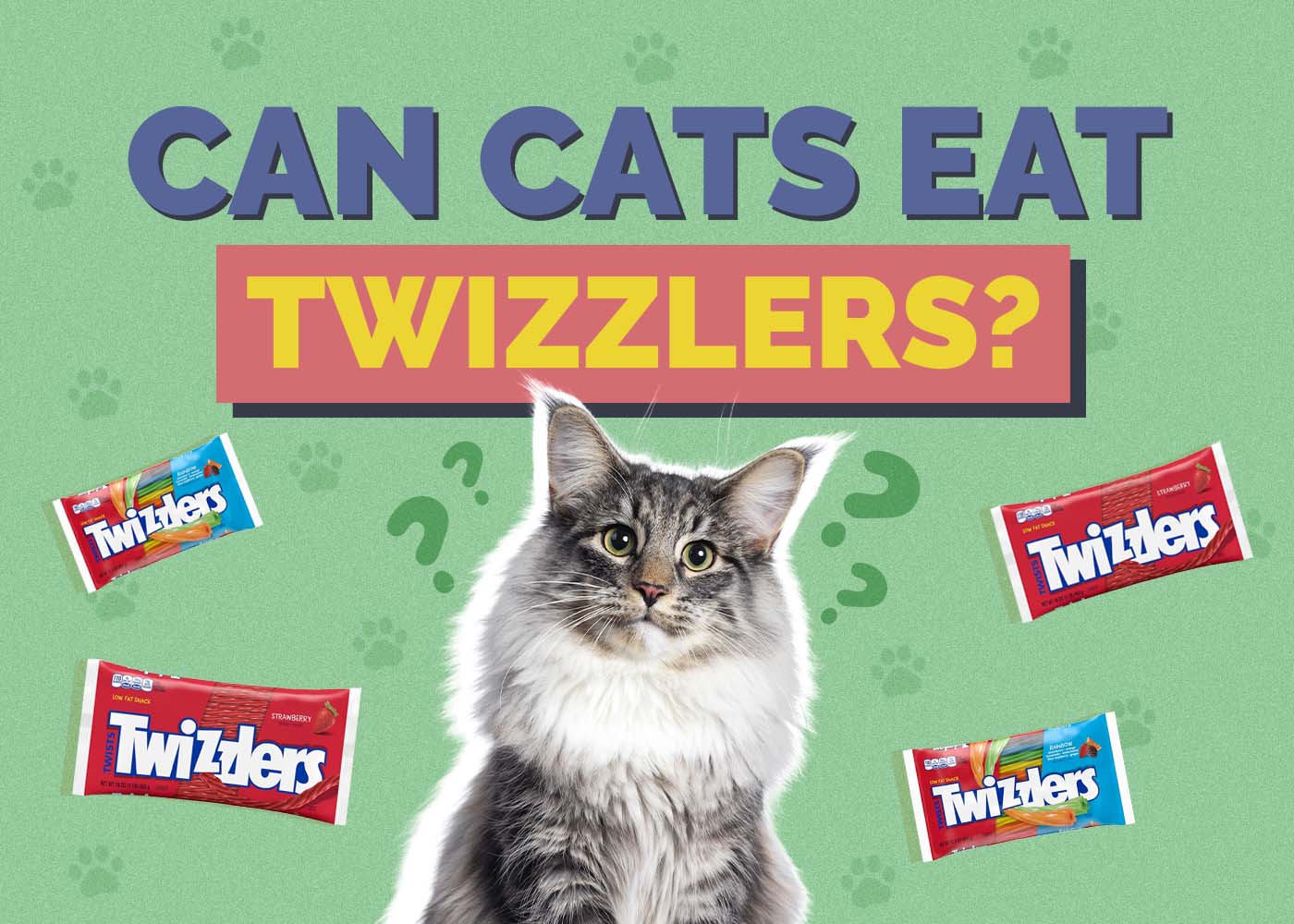 Can Cats Eat Twizzlers? Vet-Verified Nutrition Facts & Safety Guide
