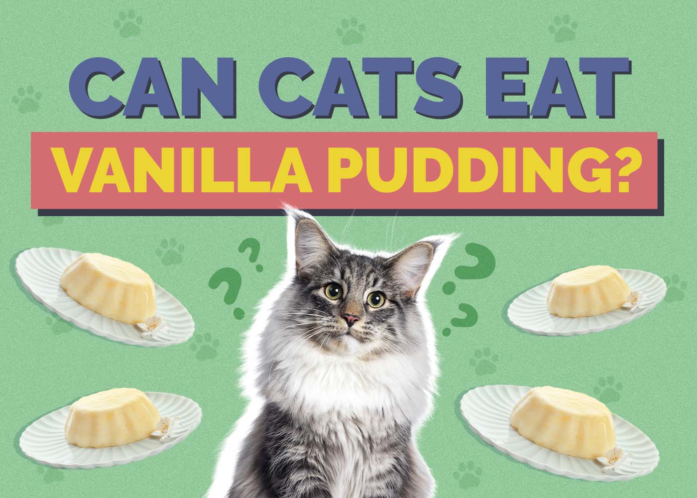Can Cats Eat Vanilla Pudding? Vet-Reviewed Facts & Safety Guide