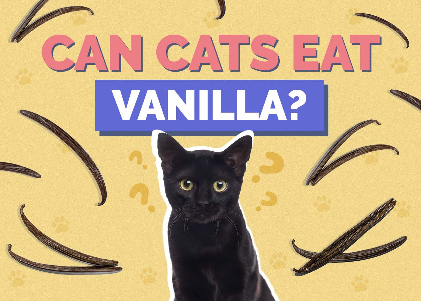 Can Cats Eat Vanilla? Vet-Reviewed Nutrition Facts & Safety Guide
