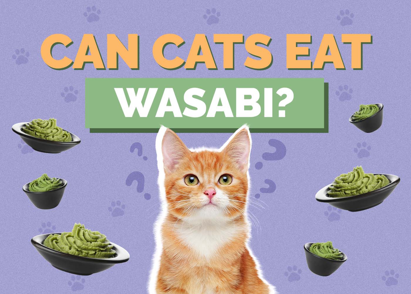 Can Cats Eat Wasabi? Vet-Reviewed Facts & Safety Guide