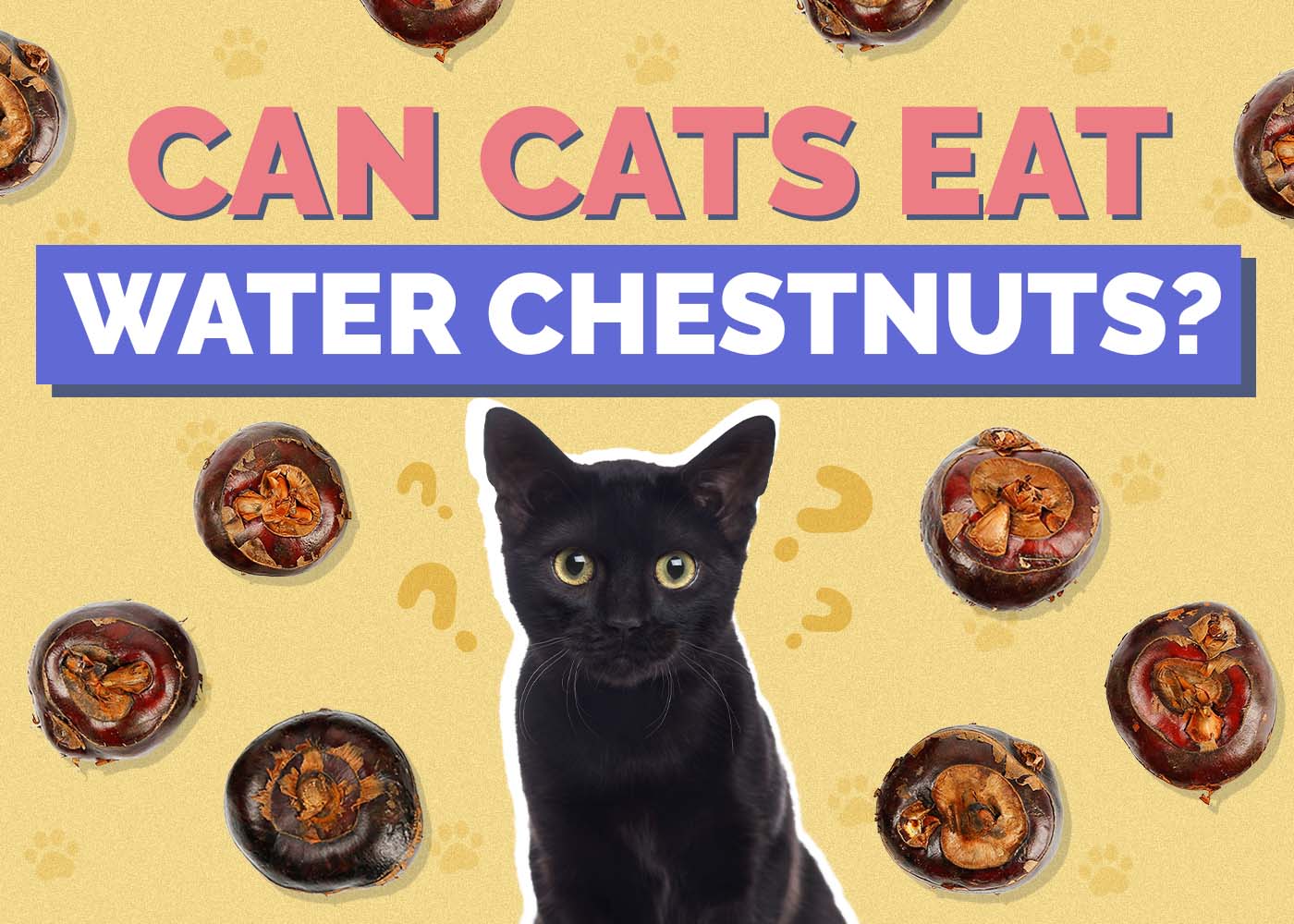 Can Cats Eat Water Chestnuts? Nutrition Facts & Safety Guide