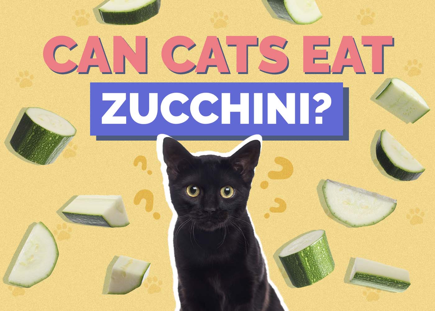 Can Cats Eat Zucchini? Vet-Reviewed Facts and Tips